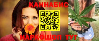 сатива Шахты