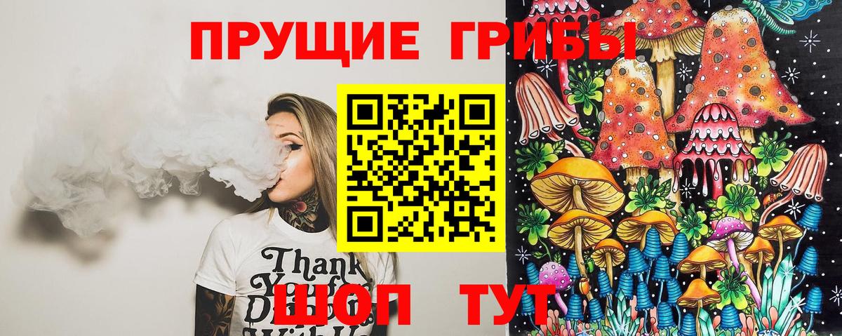 Псилоцибиновые грибы мухоморы Курчатов