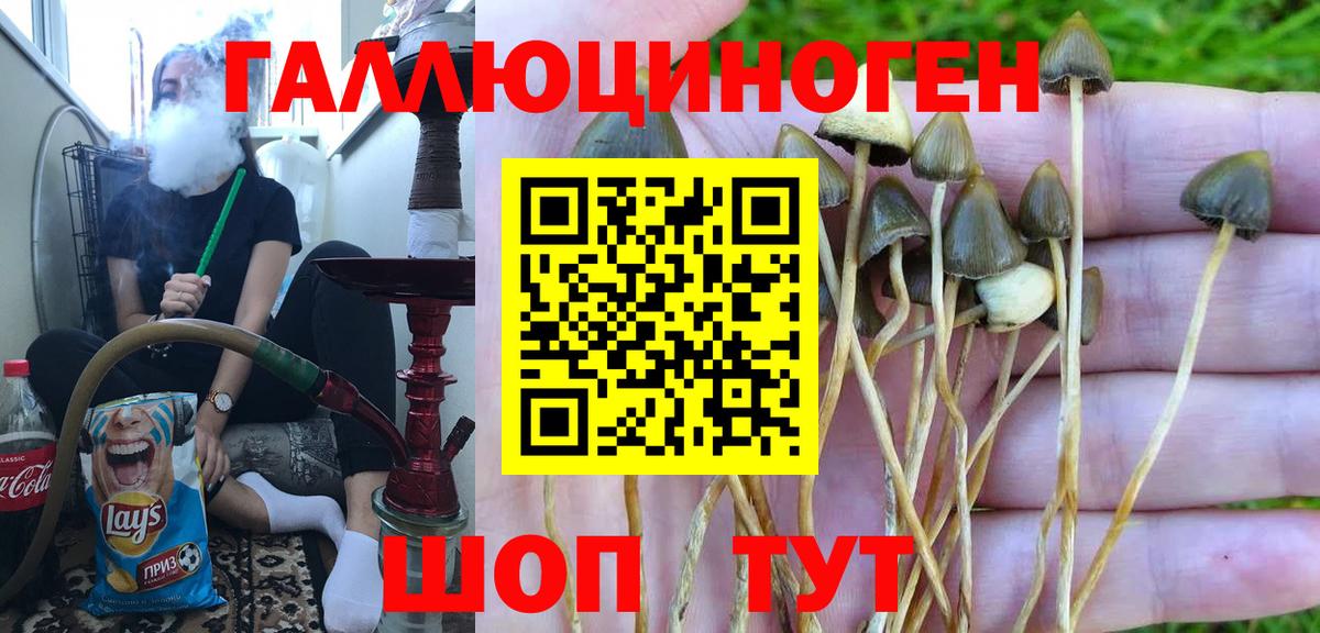 Курчатов  Псилоцибиновые грибы мухоморы  Галлюциногенные грибы мухоморы  Вход с VPN 
